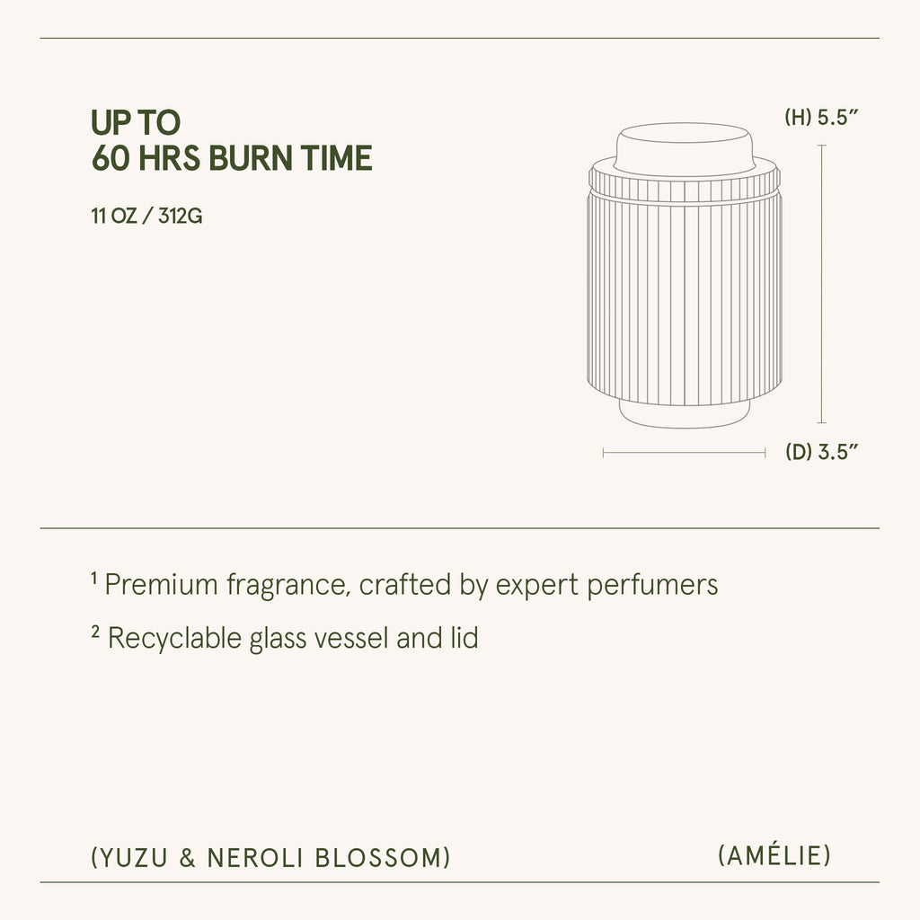 Product packaging with dimensions and features on a white background