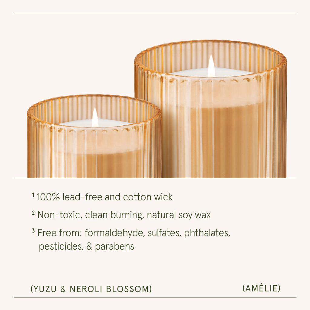 Two candles in gold holders with a white background