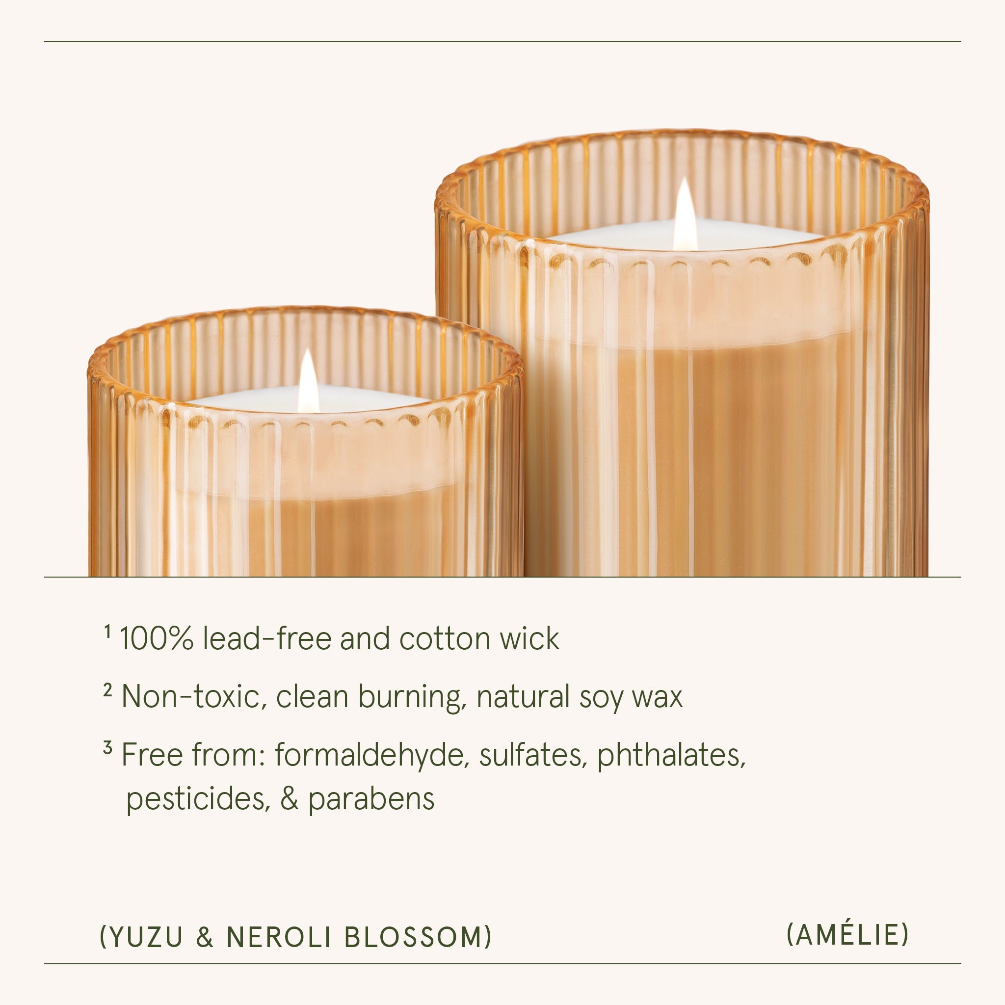 Two candles in gold holders with a white background