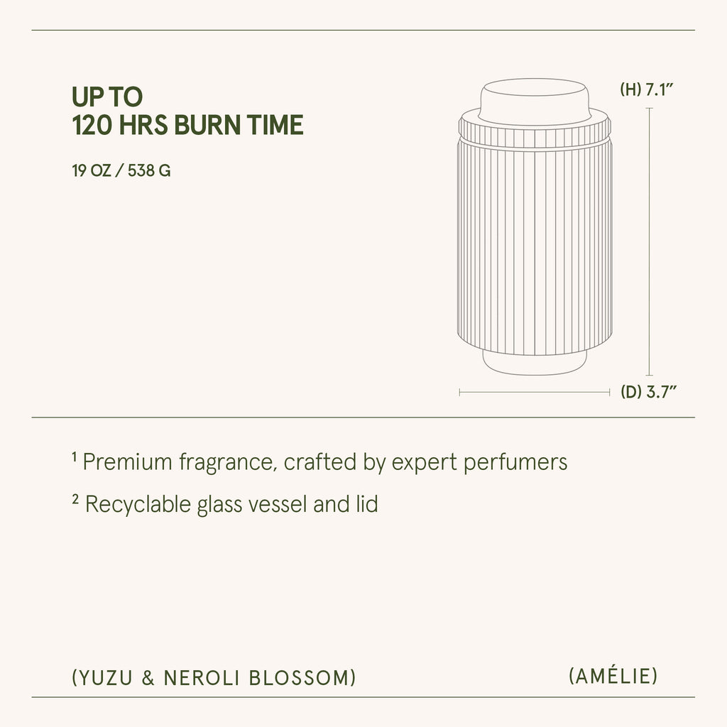 Product packaging with dimensions and features on a white background