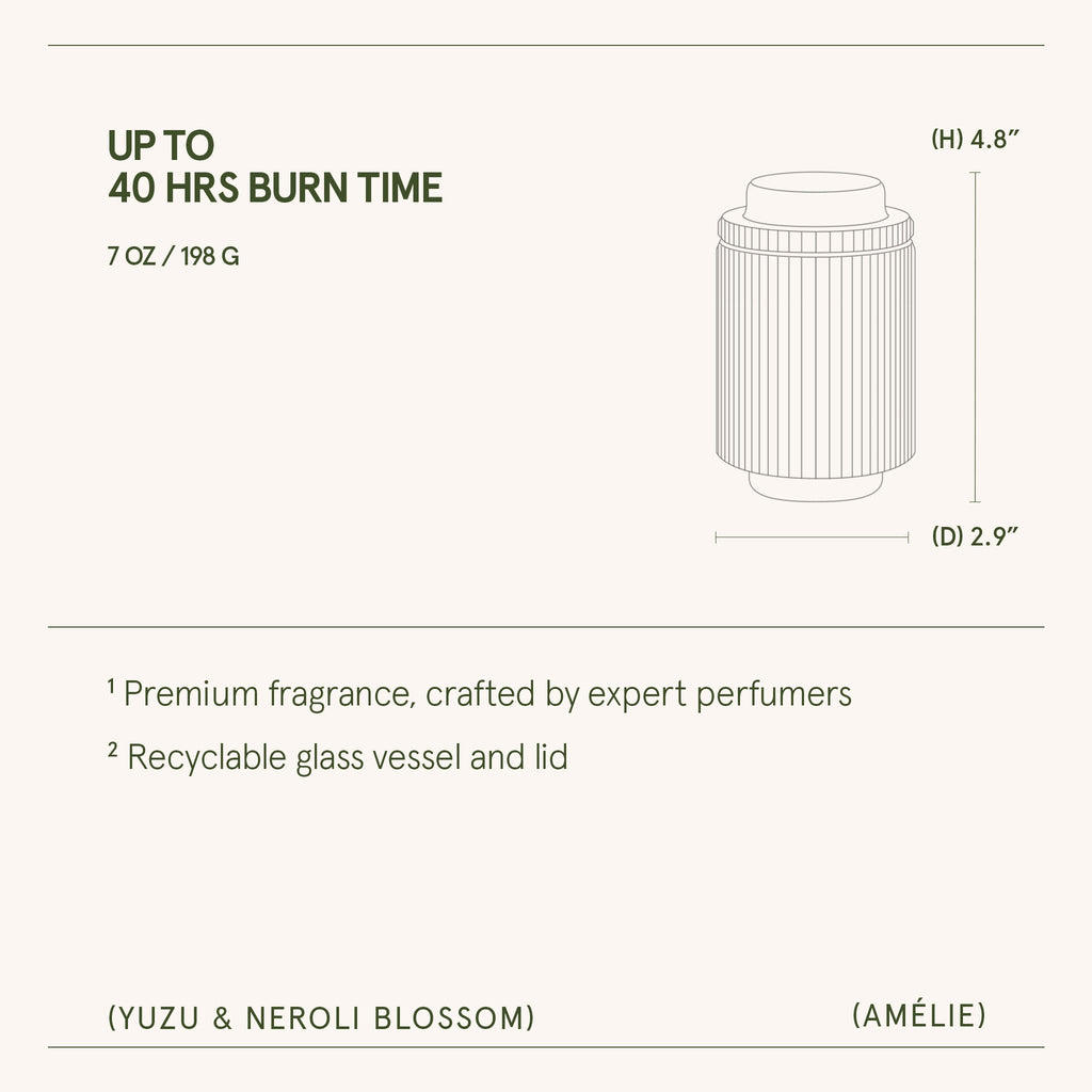 Product packaging with dimensions and features on a white background