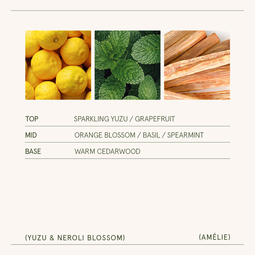 Three images of lemons, mint leaves, and cedar wood with a text overlay describing fragrance notes.