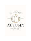 Autumn Harvest