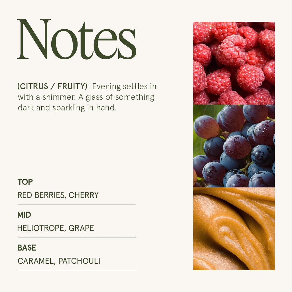 Top, mid and base notes description