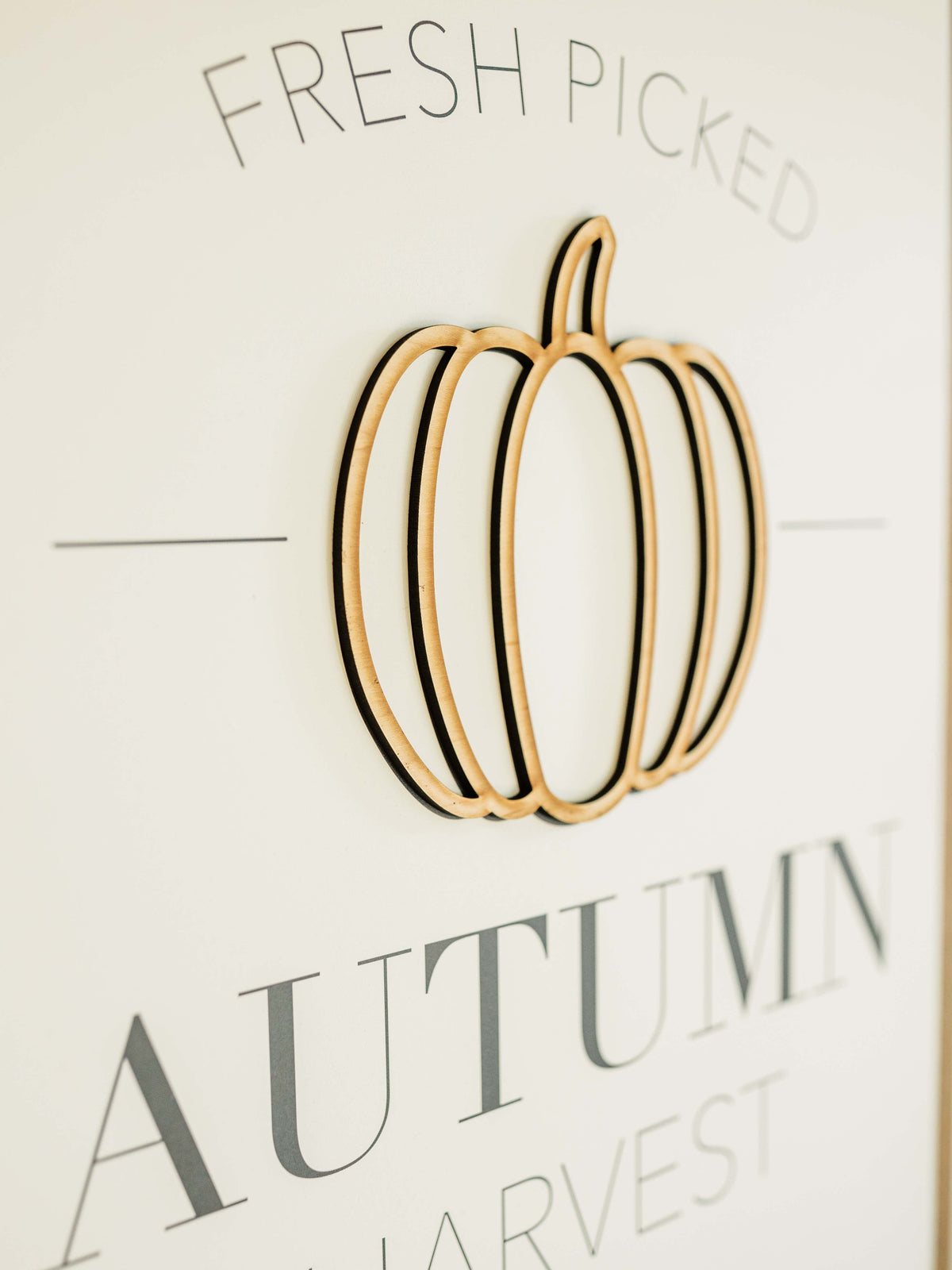 Autumn Harvest